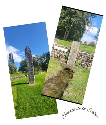 Collage 2024-09-18 19 19 20