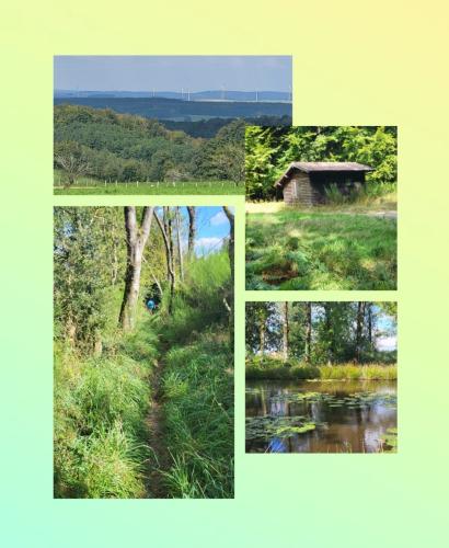 Collage 2024-09-18 20 32 06