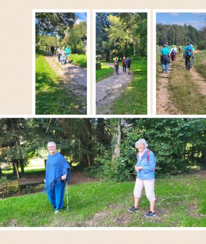 Collage 2024-09-18 20 34 12