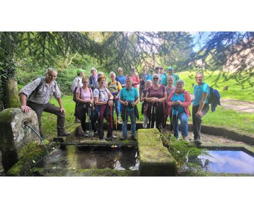 Collage 2024-09-18 21 10 43