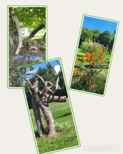 Collage 2025-09-03 18 33 48