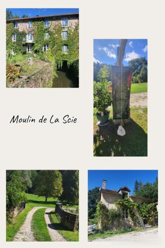 Collage 2025-09-03 18 56 15