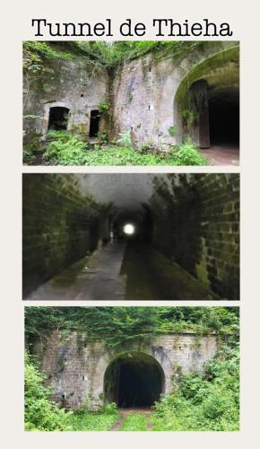 Collage 2025-07-09 21 08 44