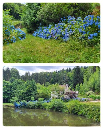 Collage 2025-07-09 21 18 01