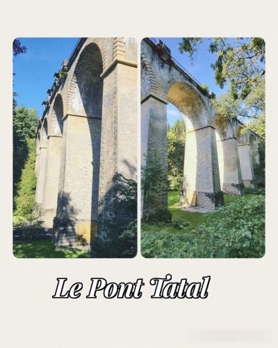 Collage 2025-09-10 18 22 04