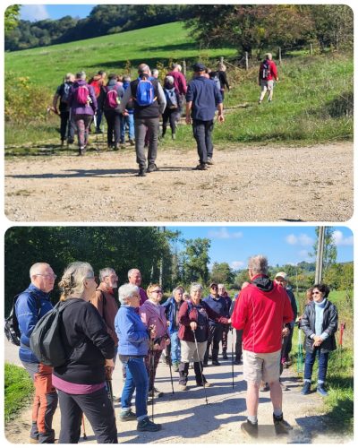 Collage 2025-10-01 20 56 53