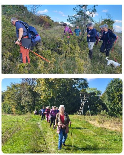 Collage 2025-10-01 20 57 57