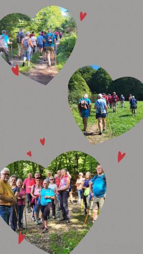 Collage 2025-09-03 18 44 02