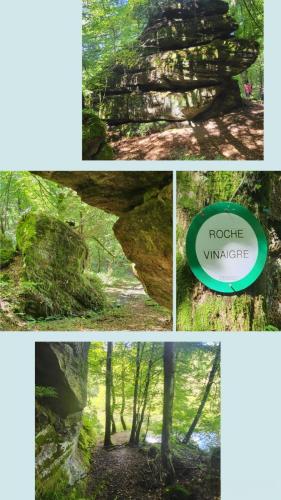 Collage 2025-09-03 18 51 42