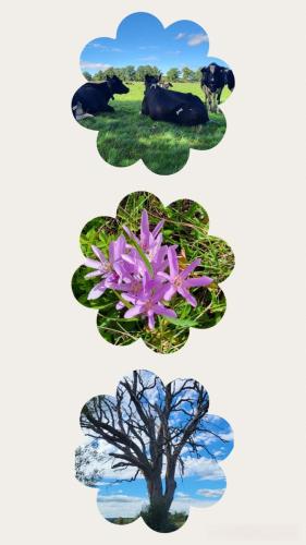 Collage 2025-09-03 18 58 57