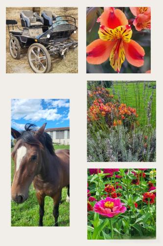 Collage 2025-09-03 19 12 47