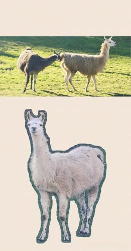 Collage 2025-11-05 18 04 07