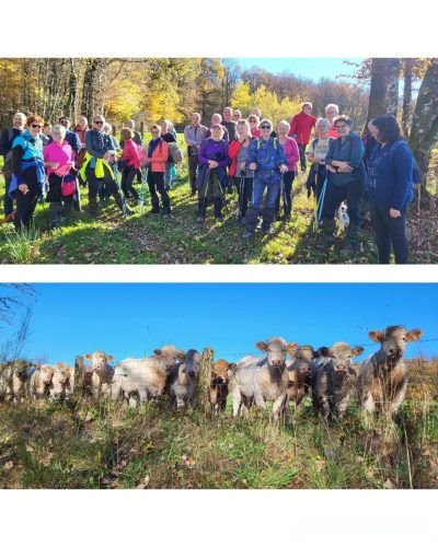 Collage 2025-11-05 18 06 10