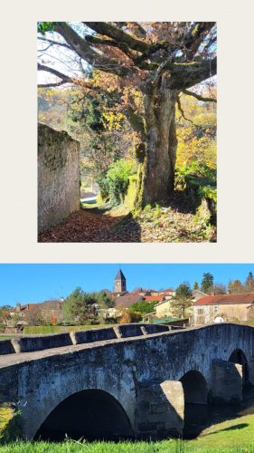 Collage 2025-11-05 18 10 10