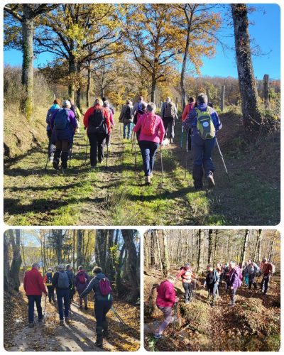 Collage 2025-11-05 18 13 55