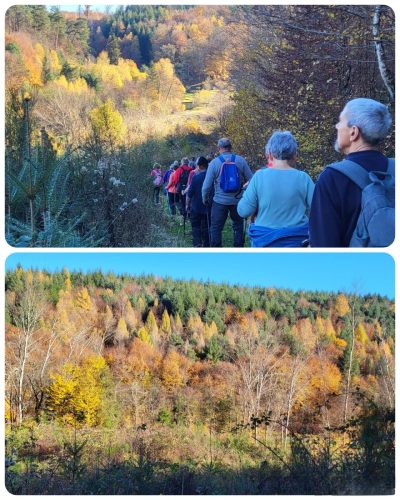 Collage 2025-11-05 18 19 25