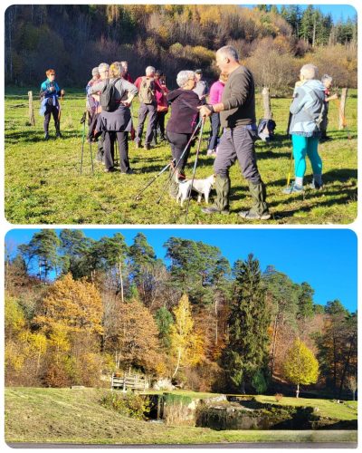 Collage 2025-11-05 18 21 16