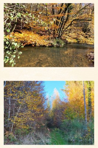 Collage 2025-11-05 18 24 43