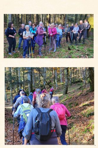 Collage 2025-11-05 18 28 21