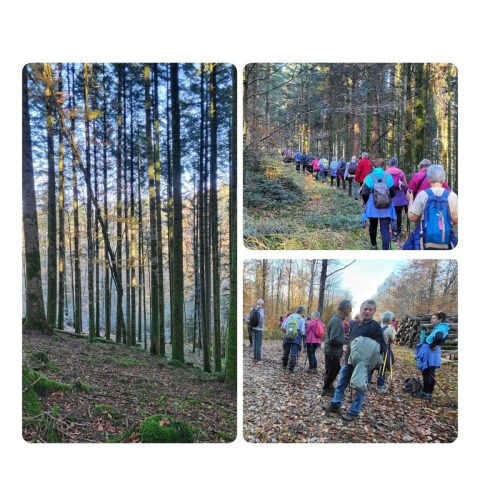 Collage 2025-11-05 18 32 48