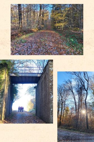 Collage 2025-11-05 18 34 54