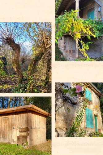 05/11/2025 - Rando à Attigny