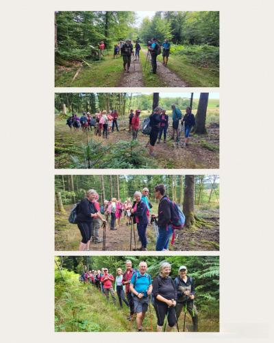 Collage 2025-08-06 18 35 11