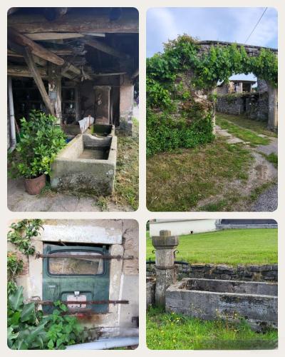 Collage 2025-08-06 18 47 27