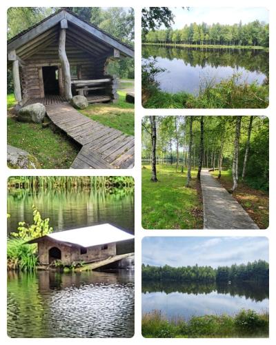 Collage 2025-08-06 18 54 18