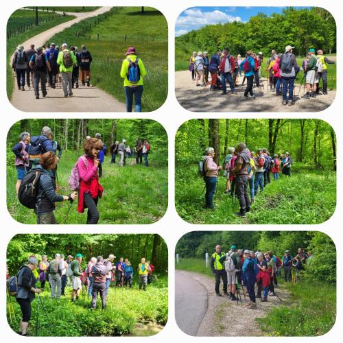 07/05/2025 - rando à Dombrot-le-Sec
