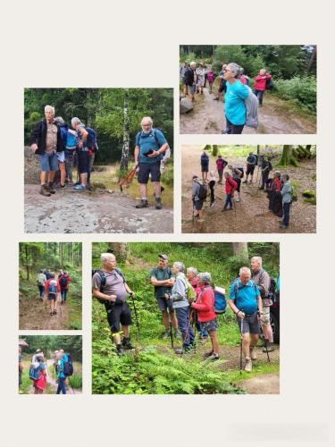 Collage 2025-09-01 17 22 13