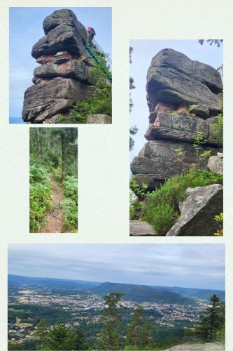 Collage 2025-09-01 17 25 37