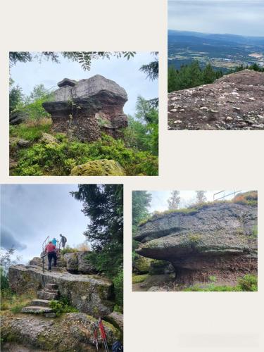 Collage 2025-09-01 17 27 22