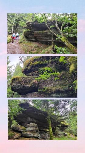 Collage 2025-09-01 17 28 38