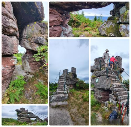 Collage 2025-09-01 17 30 29