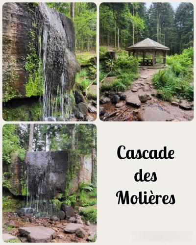 Collage 2025-09-01 17 35 25