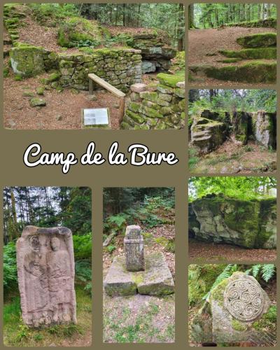 Collage 2025-09-01 17 40 25