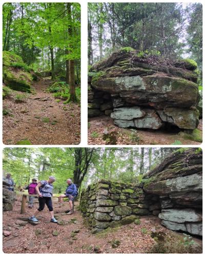 Collage 2025-09-01 17 46 33