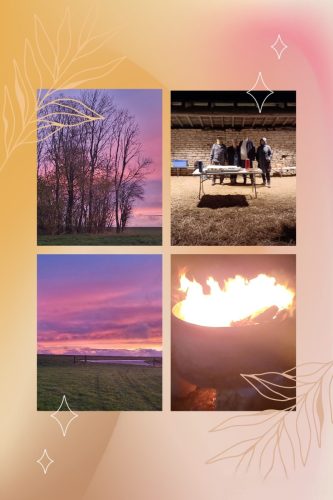 Collage 2025-11-17 13 29 04