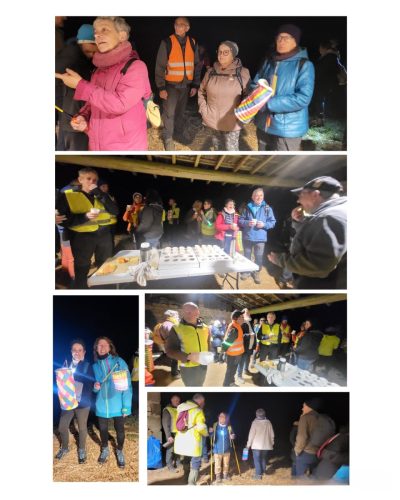 Collage 2025-11-17 13 41 37