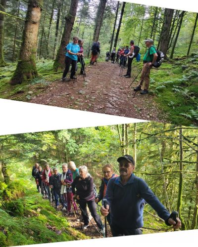 Collage 2025-09-17 18 22 52