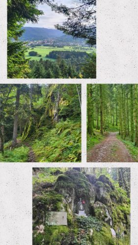 Collage 2025-09-17 18 30 57