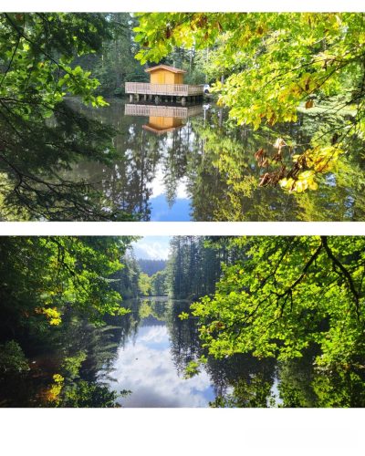 Collage 2025-09-17 18 35 34