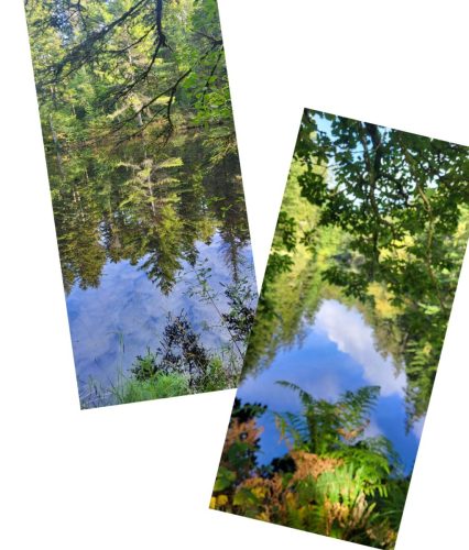 Collage 2025-09-17 18 37 47