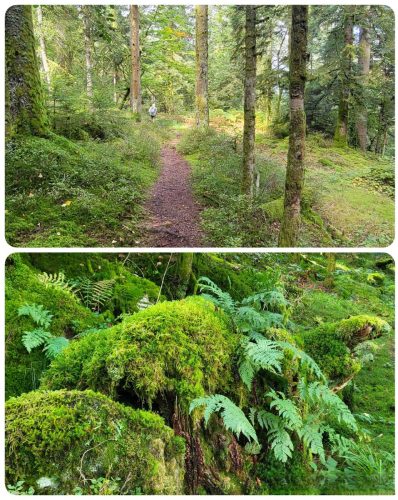 Collage 2025-09-17 19 06 11