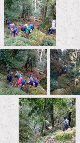 Collage 2025-09-17 19 15 56