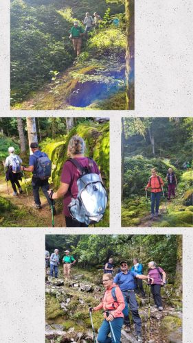 Collage 2025-09-17 19 18 05