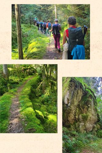 Collage 2025-09-17 19 22 24