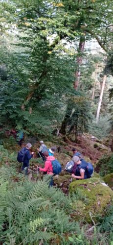 Messenger creation 0A42F546-B76D-4773-A654-84EE1A183328