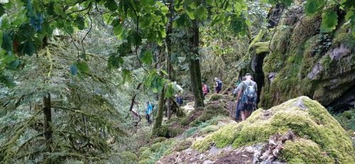 Messenger creation 55F817F3-36DD-40A1-9B6D-AD2E0FDDDEE3